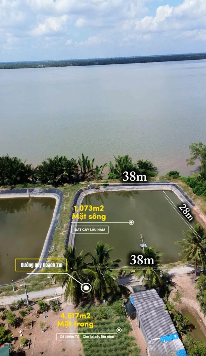 Bán đất mặt tiền sông Cửa Đại 4,366m2 Tiền Giang - Ảnh thu nhỏ 2