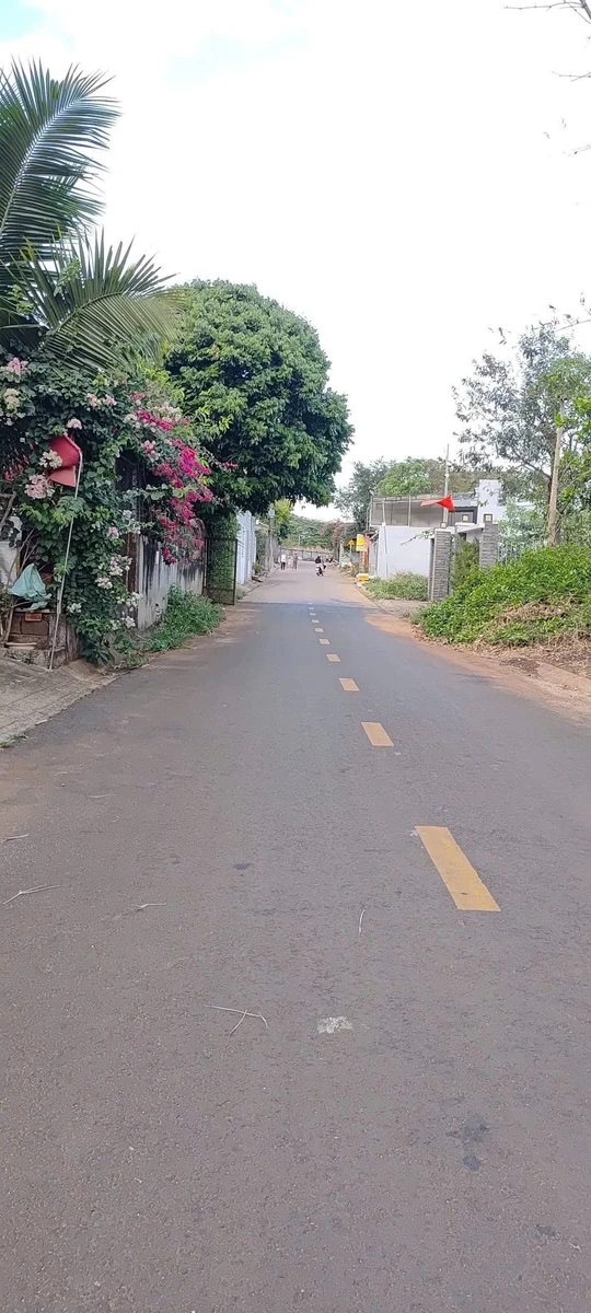Bán đất 2 mặt tiền Dã Tượng 165m² gần Eco City - Ảnh 1