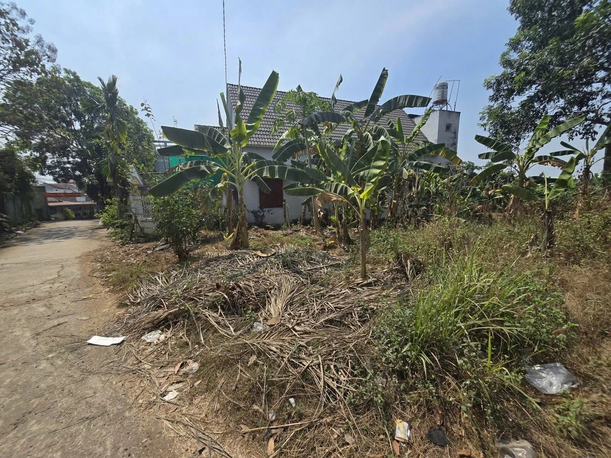 Bán đất vườn 976m² Long Hưng, Đồng Nai, 9,49 tỷ - Ảnh thu nhỏ 5