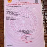 Bán đất gần 1 sào 5 Tân Đồng, 1.5 tỷ - Ảnh thu nhỏ 1