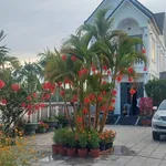 Bán biệt thự mặt tiền Đỗ Đăng Tuyển Củ Chi, 925m², 9.5 tỷ - Ảnh thu nhỏ 3