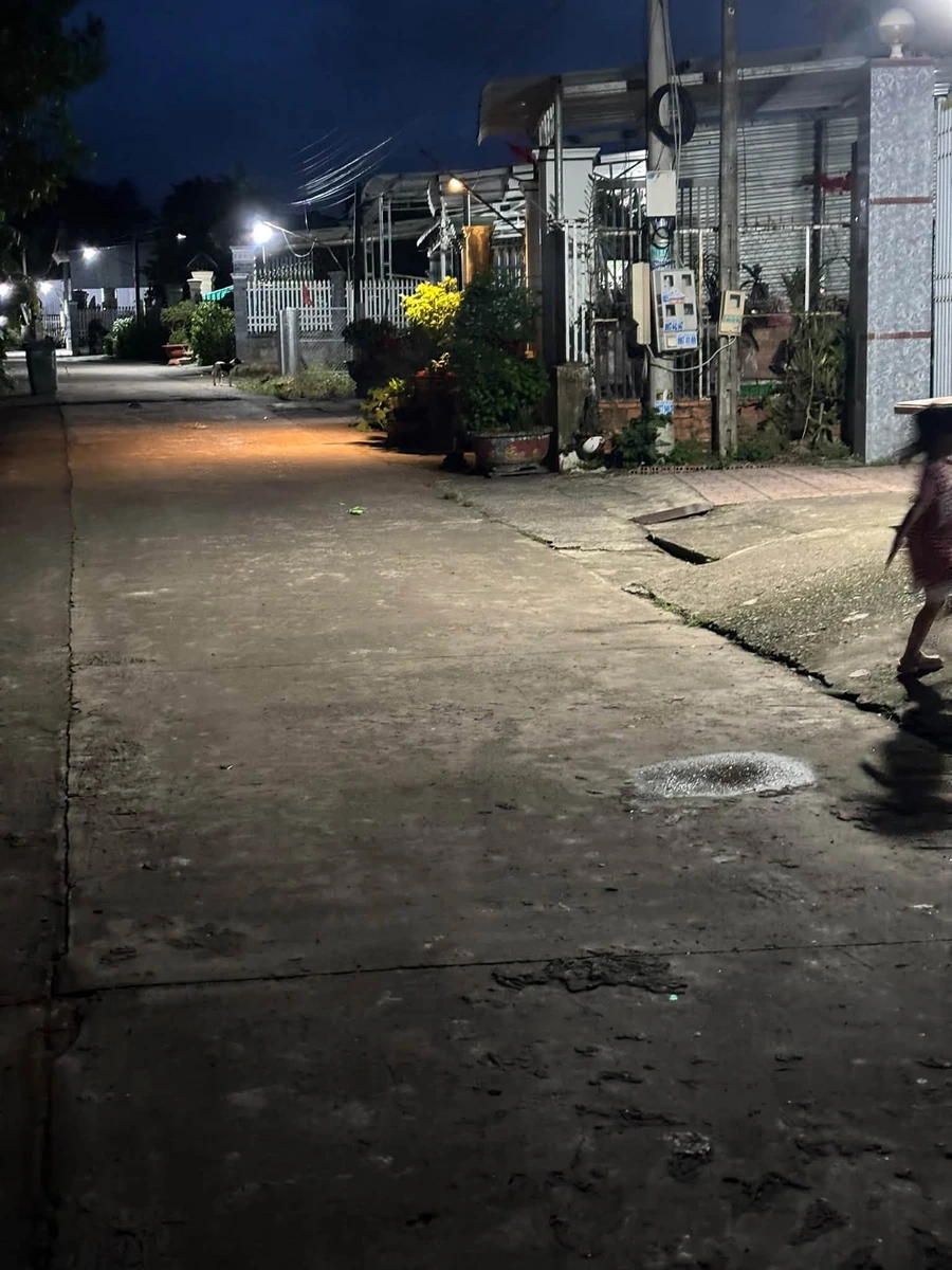 Bán đất Minh Hưng, Đồng Nai 12.500m² 480 triệu - Ảnh thu nhỏ 4