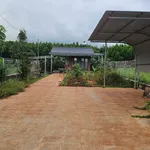Bán nhà vườn Long Phước, Tam Long 500m² - 1 tỷ 790 triệu - Ảnh thu nhỏ 2