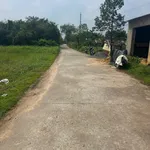 Bán nền đất 5x30m (150m²) gần chợ Mỹ Hạnh Nam - 1 tỷ 320 - Ảnh thu nhỏ 3