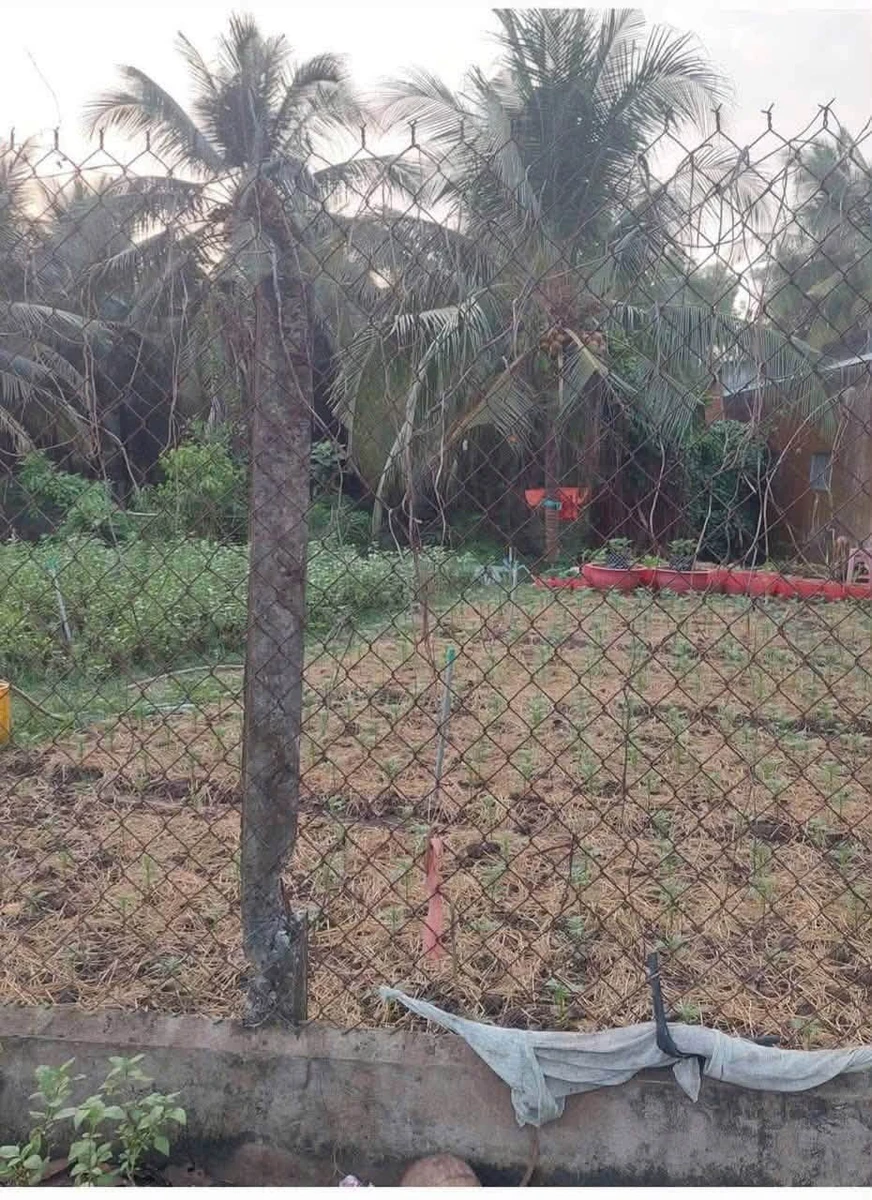 Bán đất 1200m2 mặt tiền Phạm Văn Ngô, Tân Khánh - 3 tỷ - Ảnh 1