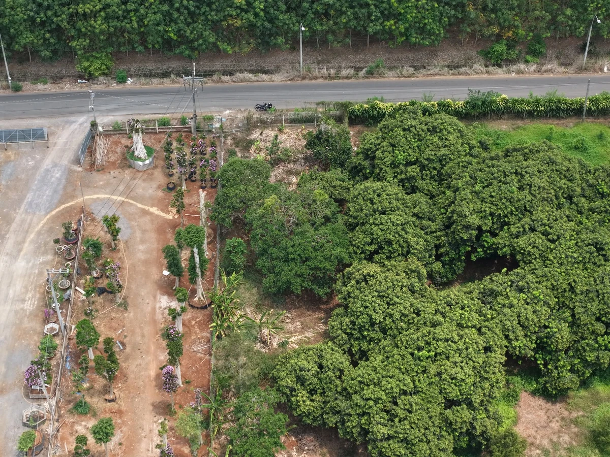Bán đất vườn view hồ Trị An 1.500m2 mặt tiền 42m tại Túc Trưng, Định Quán - Ảnh thu nhỏ 3