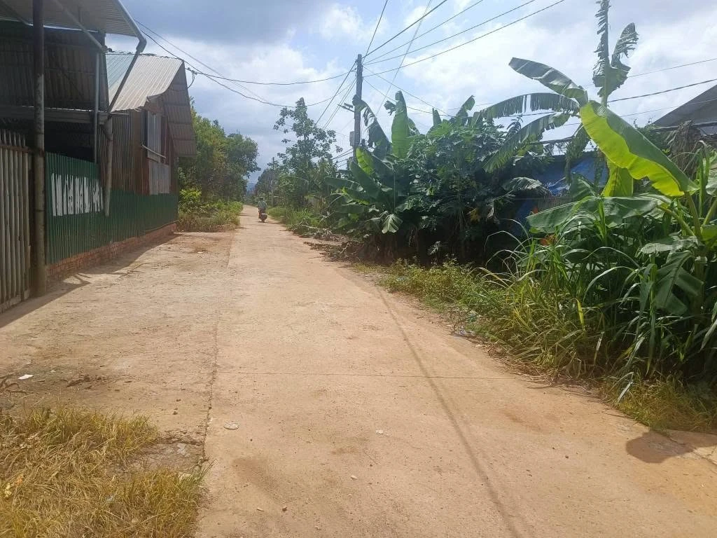 Bán đất 1160m² SHR tại thôn 4 Eakao, Bình Dương, giá 1,75 tỷ - Ảnh thu nhỏ 2