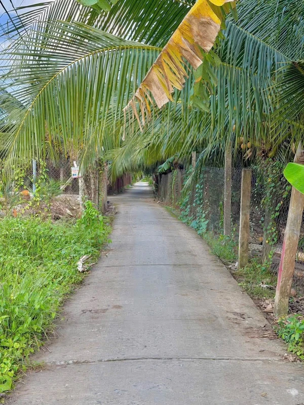 Bán đất nền F0 Long Hòa A 280m² Đồng Tháp