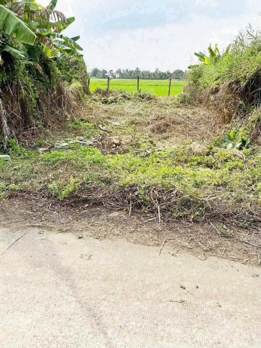 Bán đất mặt tiền đường Kênh 5 Tâm, Phường Tân An, Tây Ninh, 106 m2, giá 500 triệu - Ảnh 1