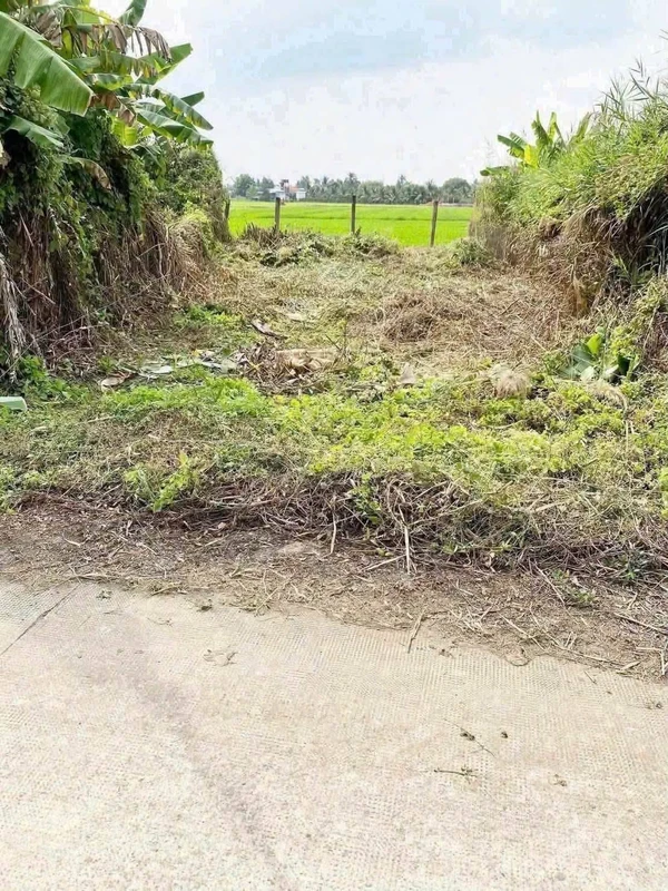 Bán đất mặt tiền đường Kênh 5 Tâm, Phường Tân An, Tây Ninh, 106 m2, giá 500 triệu