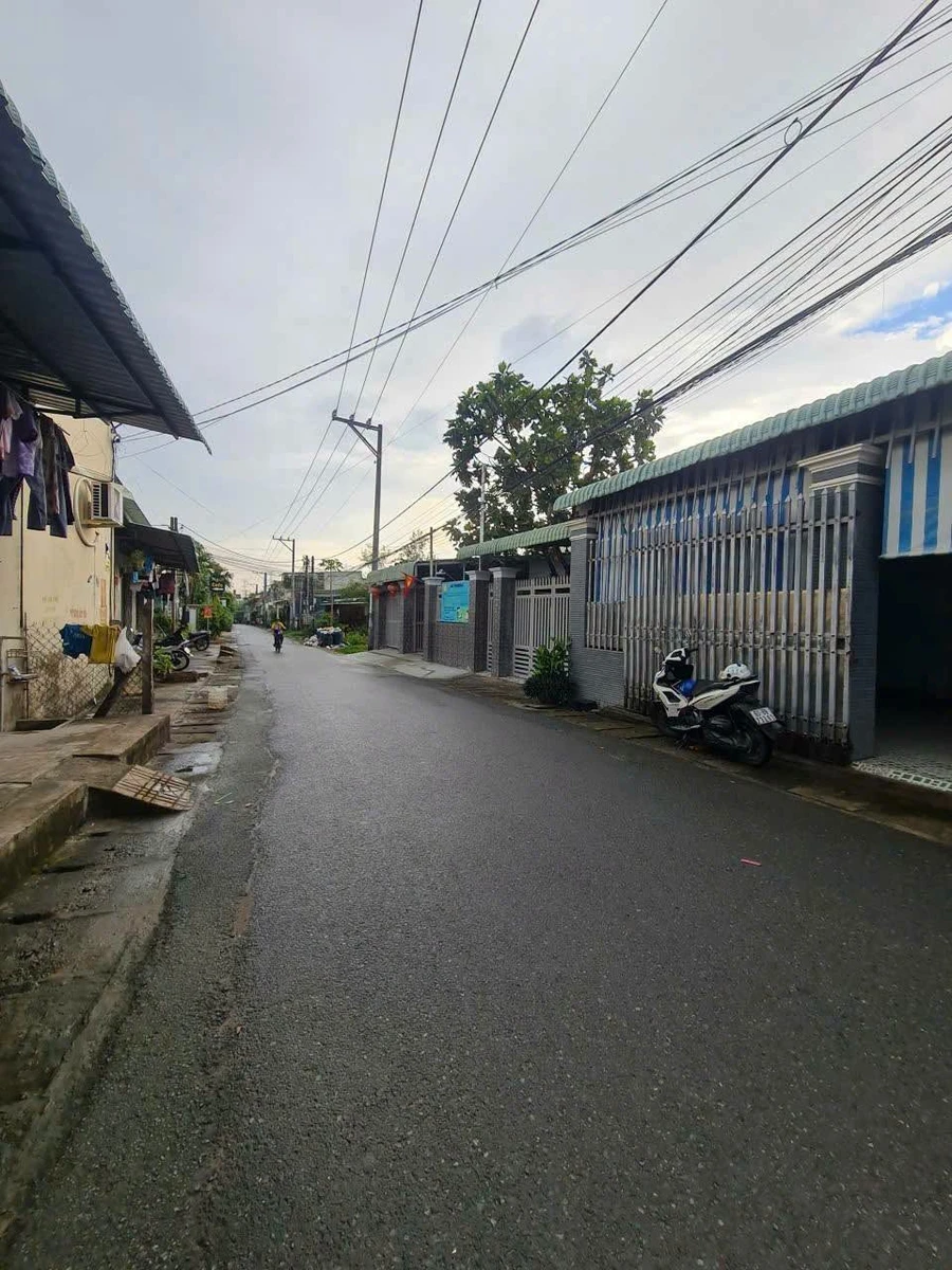 Bán nhà vườn 446m² Tân Triều, Đồng Nai - Ảnh thu nhỏ 4
