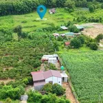 Bán đất 5,1 sào ngay Cầu 14 Sêrêpốk giá 1 tỷ - Ảnh thu nhỏ 3