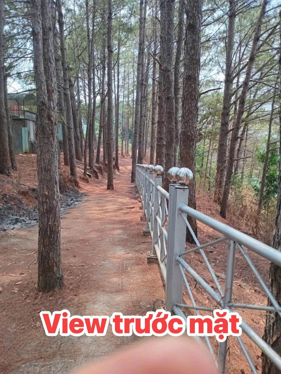 Bán đất mặt tiền Phó Đức Chính view hồ, Hồ Chí Minh - Ảnh thu nhỏ 4