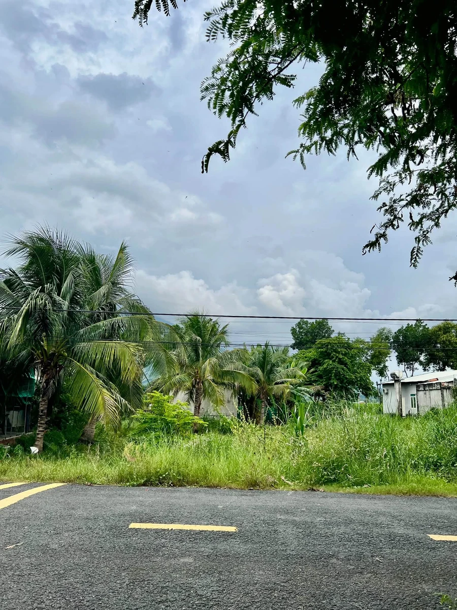 Bán đất 114m2 có sổ tại Phường Bình Minh, Tây Ninh 300 triệu - Ảnh thu nhỏ 2