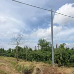 Bán đất rẫy Lâm Đồng 11000 m² giá 1,85 tỷ - Ảnh thu nhỏ 2