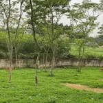 Bán mảnh vườn 3200m² Tân Hiệp, Bắc Ninh 3 tỷ - Ảnh thu nhỏ 1