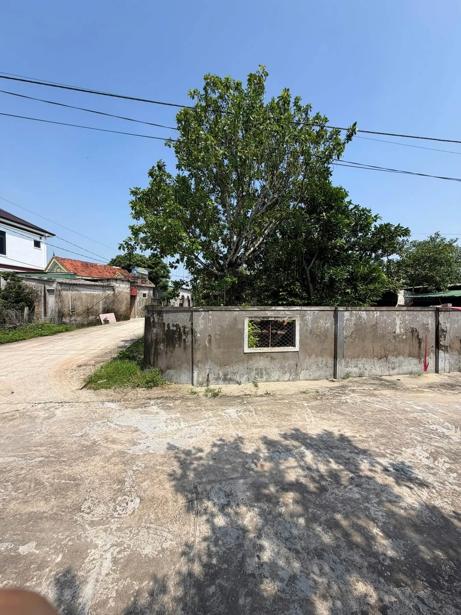 Bán đất góc 2 mặt tiền 136m² Vinh Lộc, Nghệ An - Ảnh thu nhỏ 2