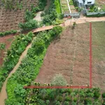 Bán đất sào view suối gần Hồ Ea Kao 1000m² - Ảnh thu nhỏ 2