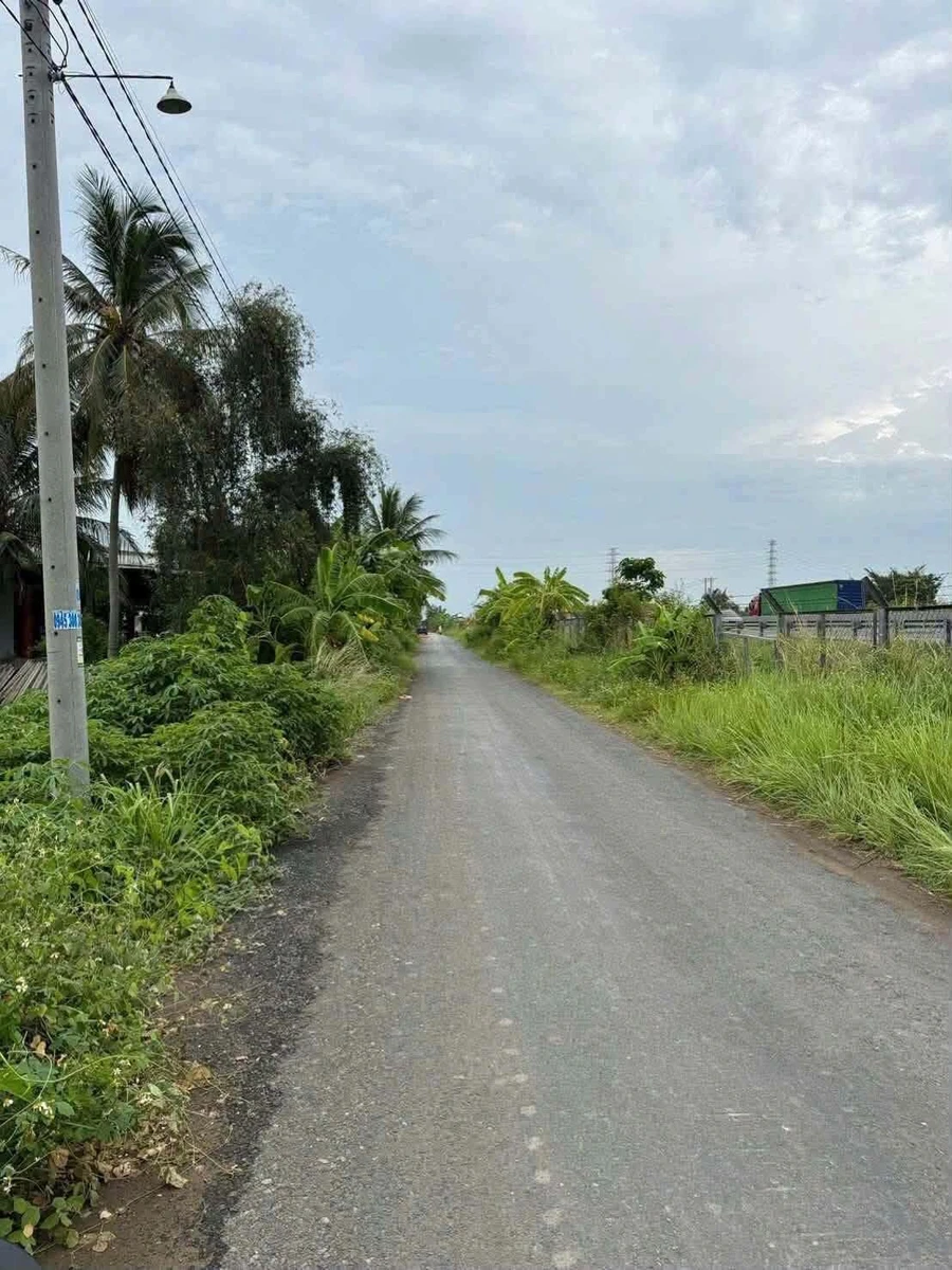 Bán đất 3.911,5m² Tây Ninh, giá 1 tỷ 799 triệu/công - Ảnh thu nhỏ 2