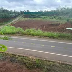 Bán đất 2 mặt tiền Tránh Đông 2,7 sào, 4,4 tỷ - Ảnh thu nhỏ 3