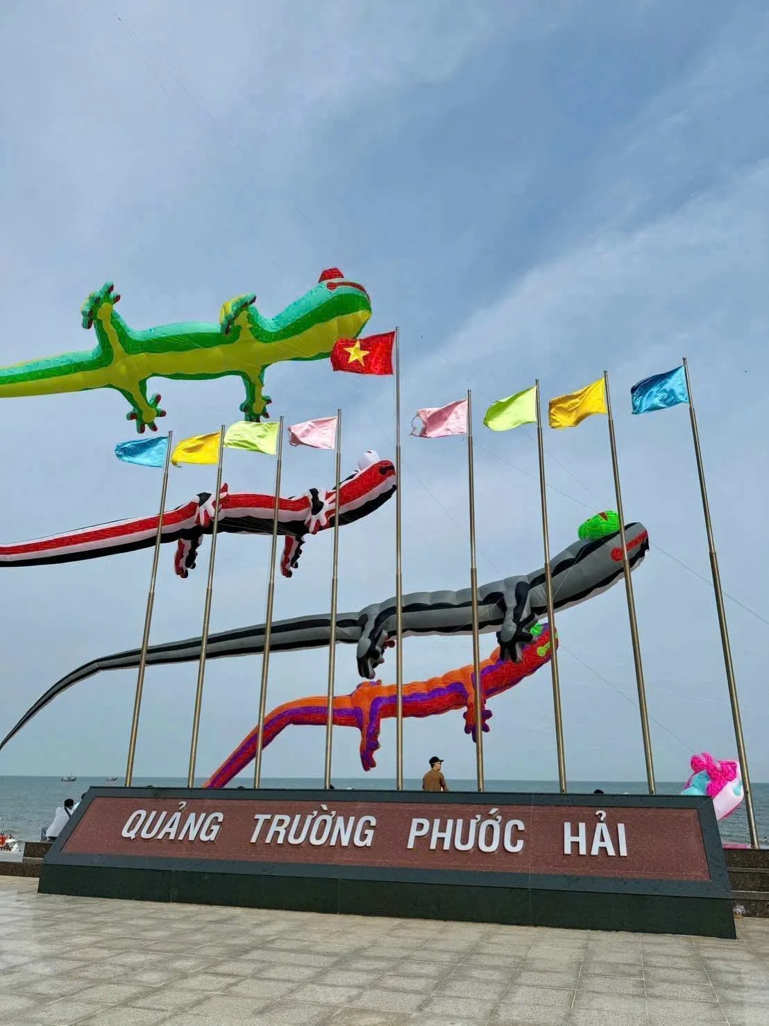 Bán đất xã Phước Hải 211m2, cách biển 4km, 1 tỷ 350 triệu - Ảnh 1