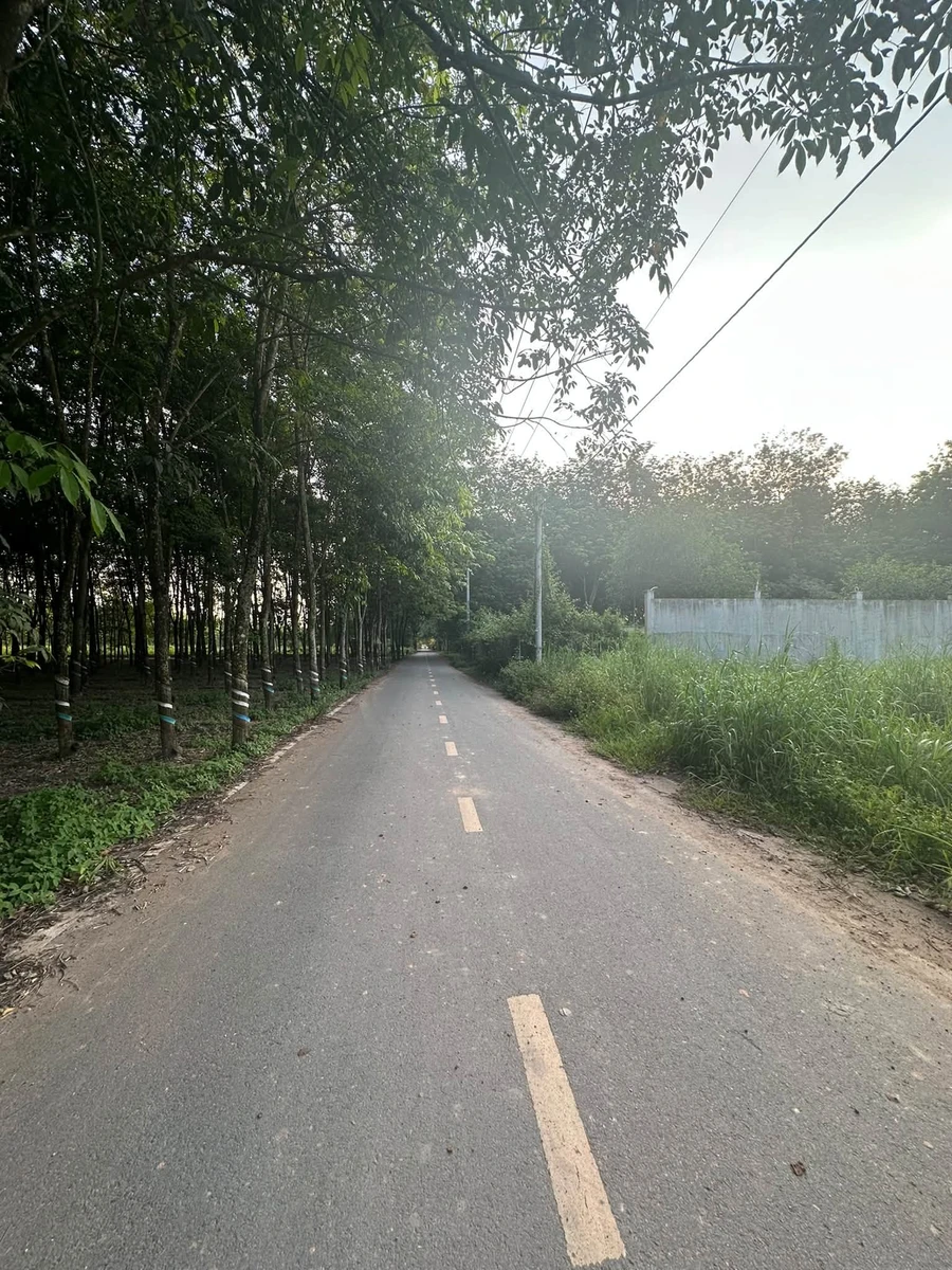 Bán đất Bình Mỹ 80m2, giá 3 tỷ, Tân Bình - Ảnh thu nhỏ 3
