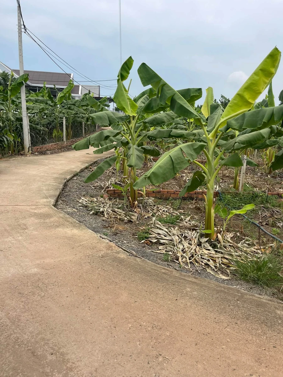 Bán lô đất 2 mặt tiền 544 m² ở Đồng Nai - Ảnh thu nhỏ 2