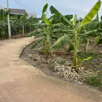 Bán lô đất 2 mặt tiền 544 m² ở Đồng Nai - Ảnh thu nhỏ 2