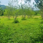 Bán lô đất 7615m2 gần KCN Đú Sáng, Kim Bôi, Phú Thọ - Ảnh thu nhỏ 5