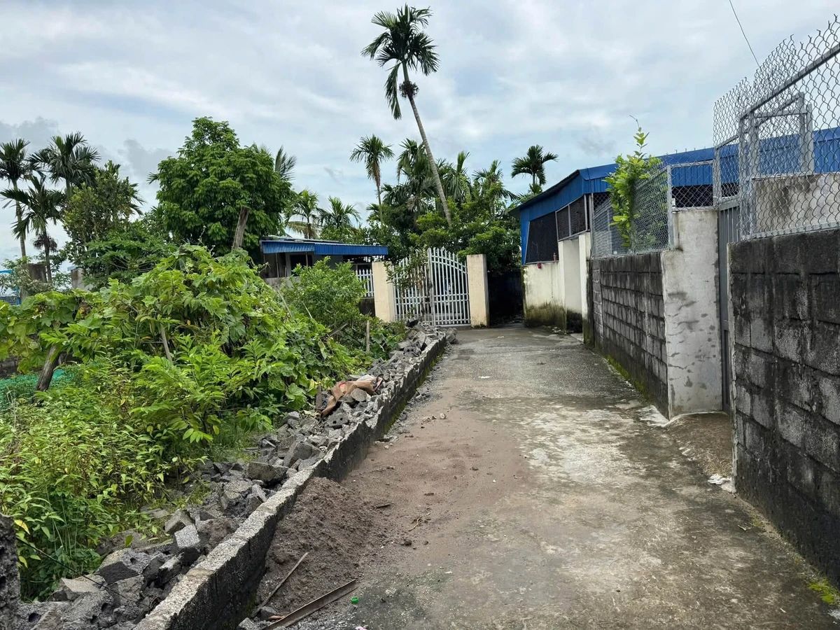 Bán lô đất góc 2 mặt ngõ 100m2, Hải Phòng - Ảnh thu nhỏ 3