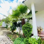 Bán nhà vườn mái Nhật 35x29 Tạ Quang Bửu, 5.6 tỷ - Ảnh thu nhỏ 2