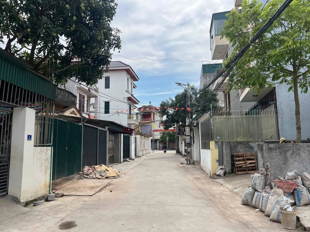 Bán lô đất 46.2m² Nhị Châu, Hải Dương, giá 1 tỷ - Ảnh thu nhỏ 2