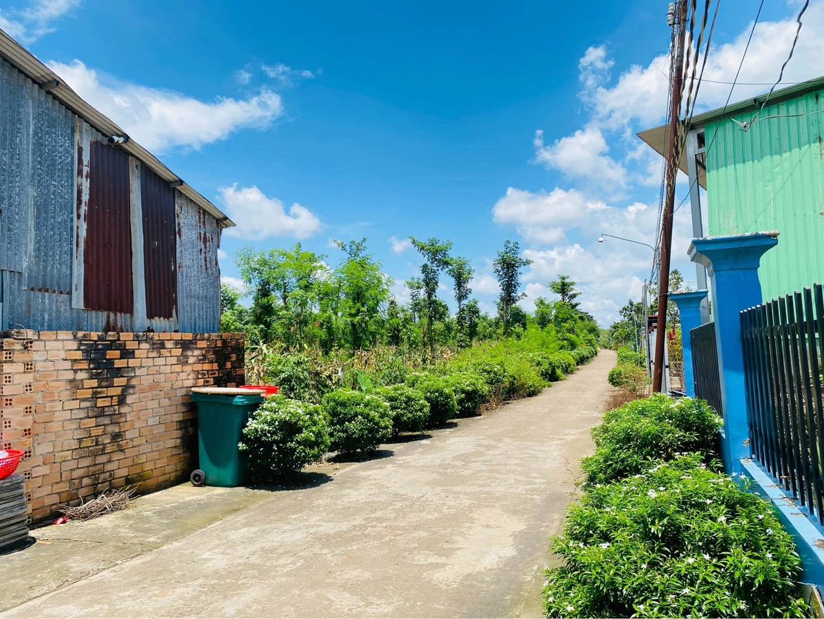Bán đất bằng phẳng Cẩm Mỹ 1.575m² sổ sẵn - Ảnh thu nhỏ 3
