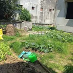 Bán đất nhà vườn không gian yên tĩnh giá siêu tốt - Ảnh thu nhỏ 2