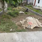 Bán lô đất 100m2 ngay chân cầu Trạm Bạc, Hải Phòng - Ảnh thu nhỏ 1