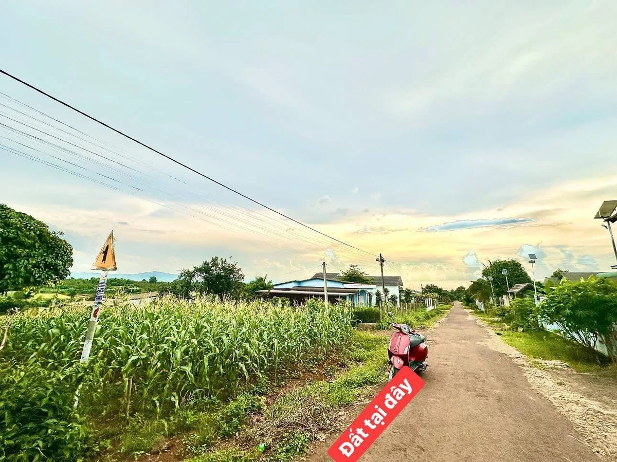 Bán đất 210m² giá rẻ 499 triệu gần chợ trường - Ảnh thu nhỏ 4