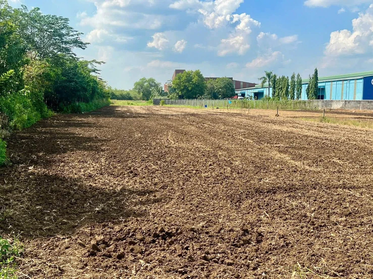 Bán đất Cẩm Mỹ Đồng Nai 5600m² - 8 tỷ - Ảnh thu nhỏ 2