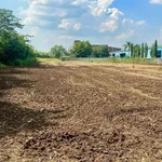 Bán đất Cẩm Mỹ Đồng Nai 5600m² - 8 tỷ - Ảnh thu nhỏ 2