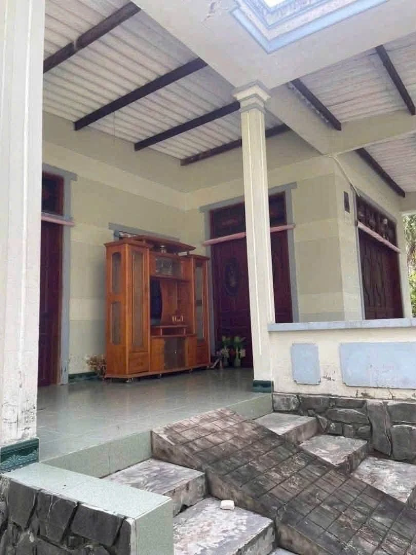 Bán đất vườn dừa tơ 3500m2 Cần Giờ 1 tỷ 500 triệu - Ảnh thu nhỏ 2