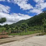 Bán lô đất 4100m2 đường Mimoza Đà Lạt 8.5 tỷ - Ảnh thu nhỏ 3