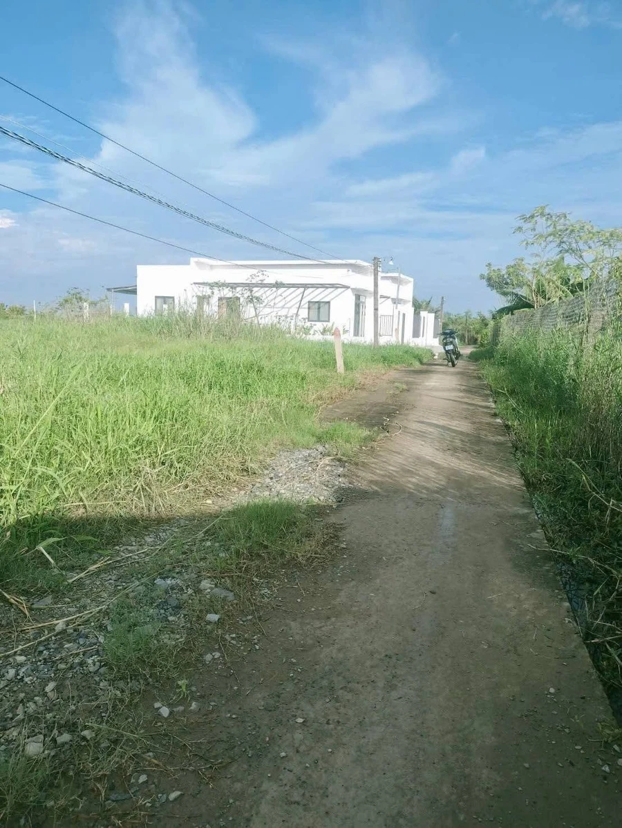 Bán đất Gò Công Đông Tiền Giang 117,5m² 250 triệu - Ảnh thu nhỏ 2