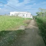 Bán đất Gò Công Đông Tiền Giang 117,5m² 250 triệu - Ảnh thu nhỏ 2