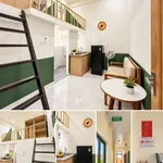 Bán dãy trọ cao cấp 122,9m2, 8 phòng, Huế - Ảnh thu nhỏ 1