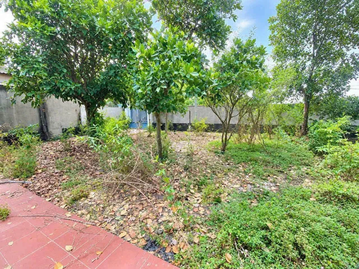 Bán đất 1000m² xã Tân Trạch Cần Đước Long An 2,8 tỷ - Ảnh thu nhỏ 5