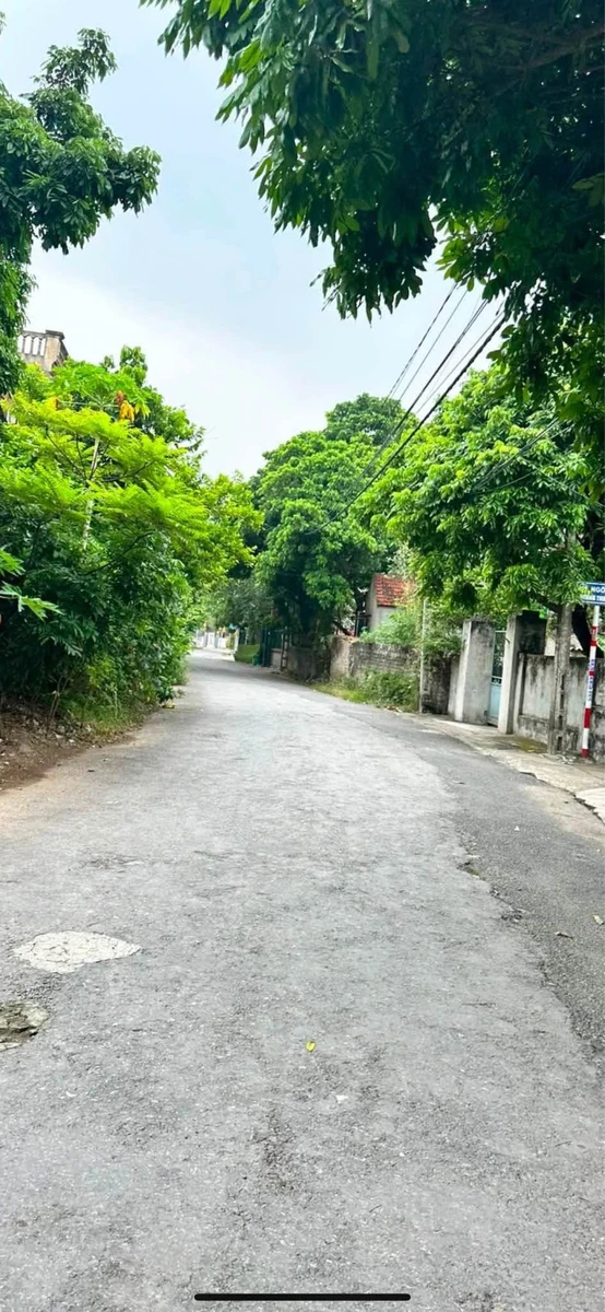 Bán lô đất 2 mặt tiền 421,3m² Thư Điền, Ninh Bình - Ảnh thu nhỏ 2