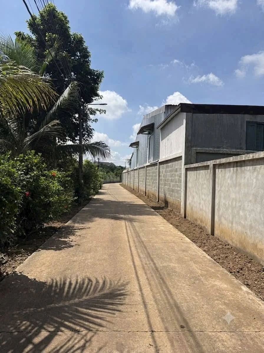 Bán 500m² đất phủ hồng Long Khánh 1 tỷ 250 - Ảnh thu nhỏ 3
