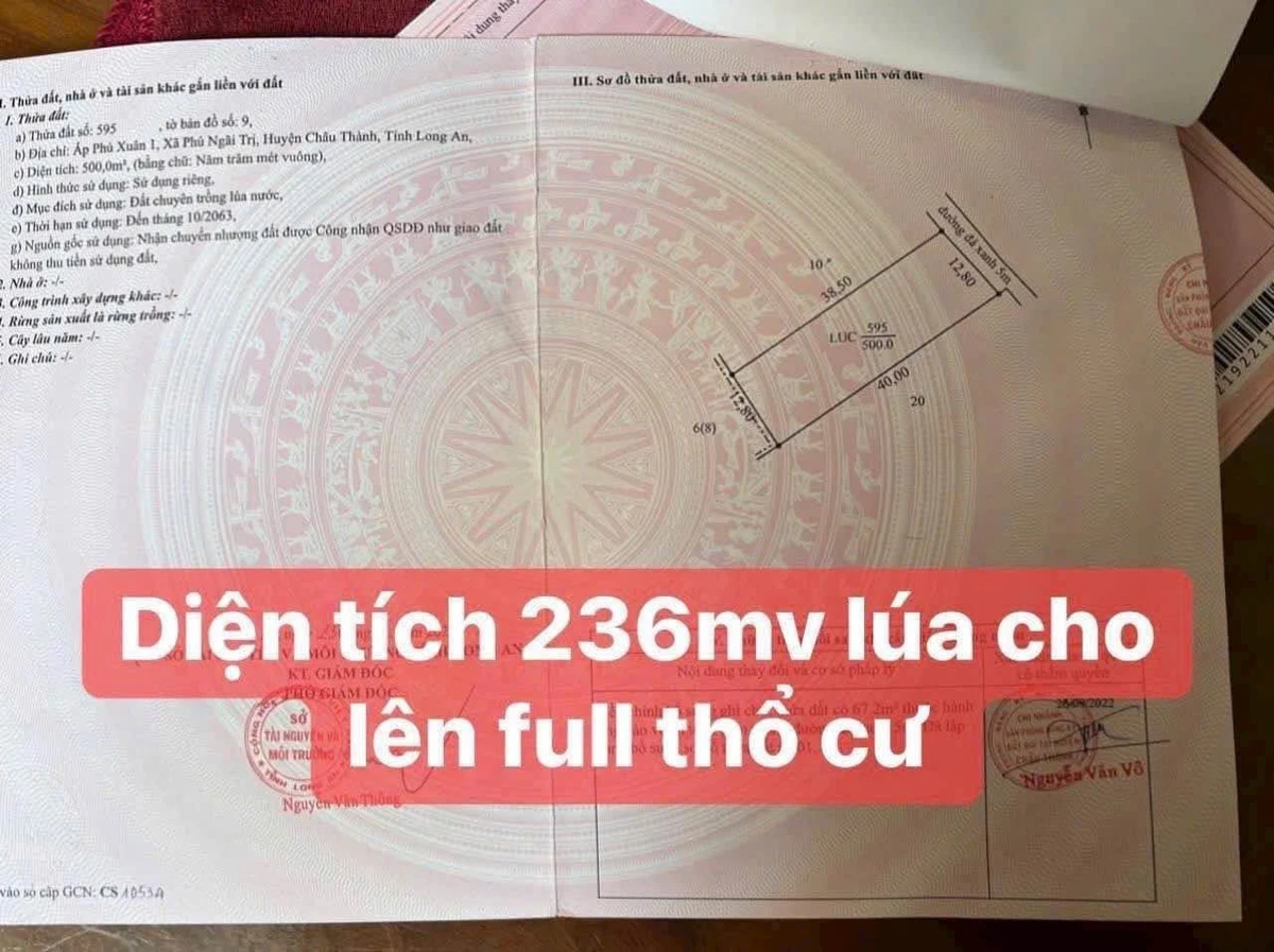 Bán 500m² đất lúa có thổ cư tại Tây Ninh, mặt tiền Thầy Bờ - Ảnh thu nhỏ 3