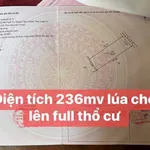 Bán 500m² đất lúa có thổ cư tại Tây Ninh, mặt tiền Thầy Bờ - Ảnh thu nhỏ 3