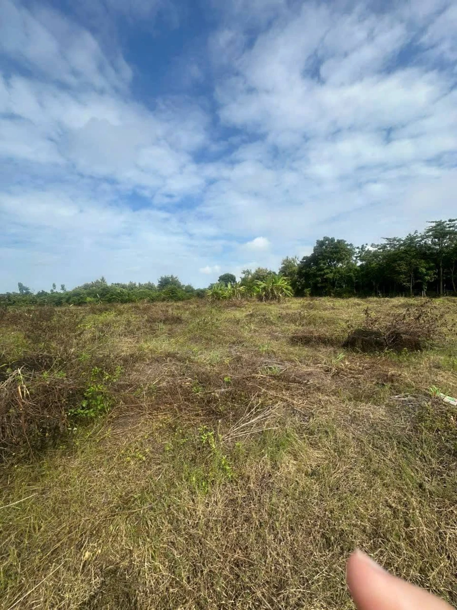 Bán đất 22.225m2 Ấp 1, Thanh Sơn, Định Quán, Đồng Nai giá 1,8 tỷ - Ảnh thu nhỏ 3