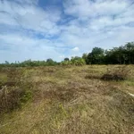 Bán đất 22.225m2 Ấp 1, Thanh Sơn, Định Quán, Đồng Nai giá 1,8 tỷ - Ảnh thu nhỏ 3